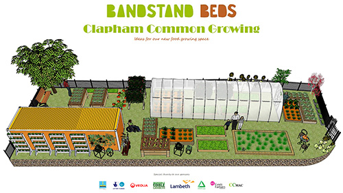 Clapham Common Growing